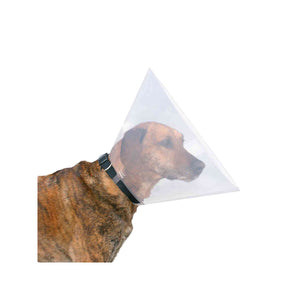 V7H20205E4906F7BE20EFF3485BE81398B6R7440508P3