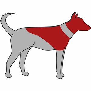 V5H264DBB3D808D903BA4861BAFCBC145E4R7440397P3