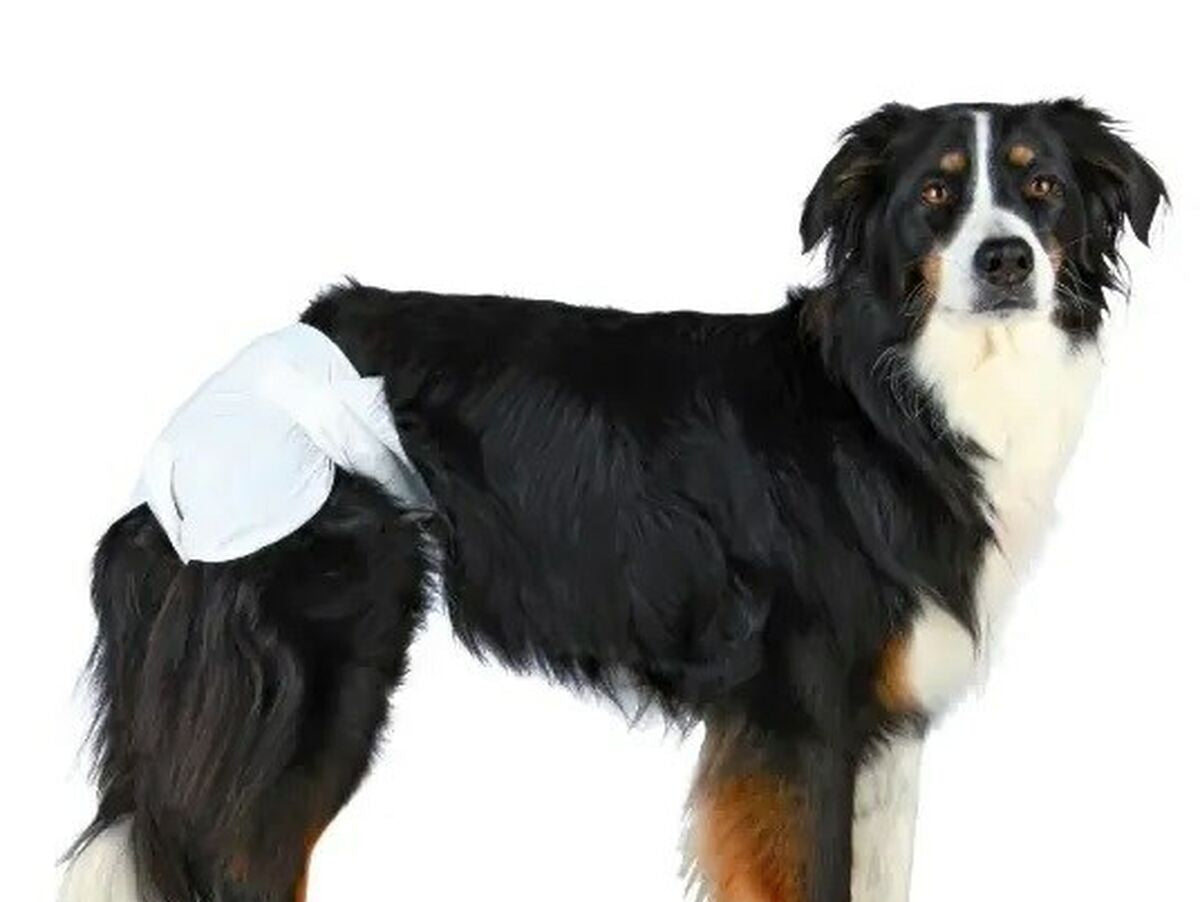 V6H1CCFC1F92FE59D399079BE2243A35E05R5070034P2