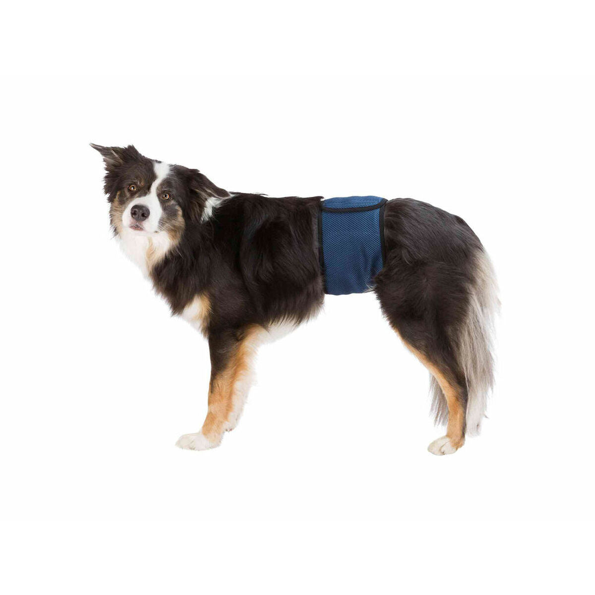 V5HF60D727B9DB340049CE6FF144F496548R7444142P1