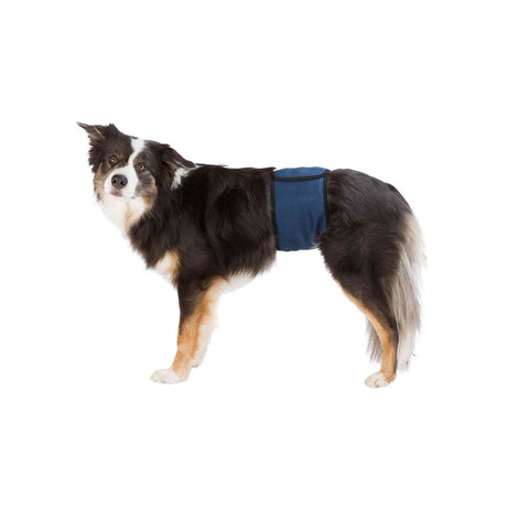 V5HFF6C5D8B6D0783C8DCD40D3C35E03A73R7444162P1