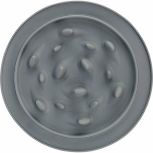 V9H10B2929875E0036F2E574D826E1394FDR7445737P6