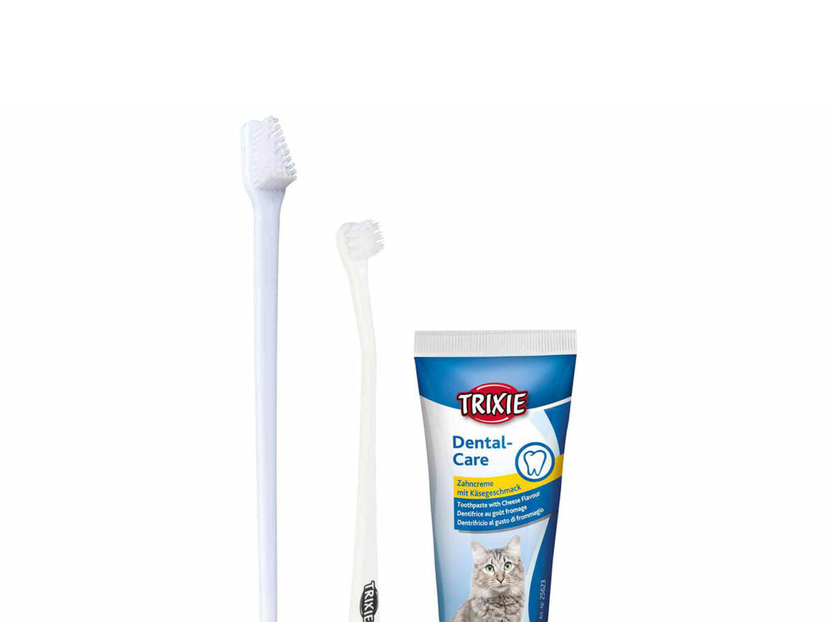 V6H5CB49CB30FF85B14A1A5F5E5985A3A36R7444256P1