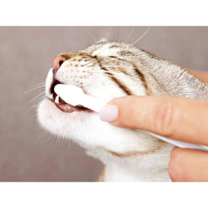 V6HBE484B6E8AA39332E4E3BCEFD784070CR7444250P8