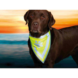 V6H23C76A637C54194B1EA7AE7B040425E4R7440232P5