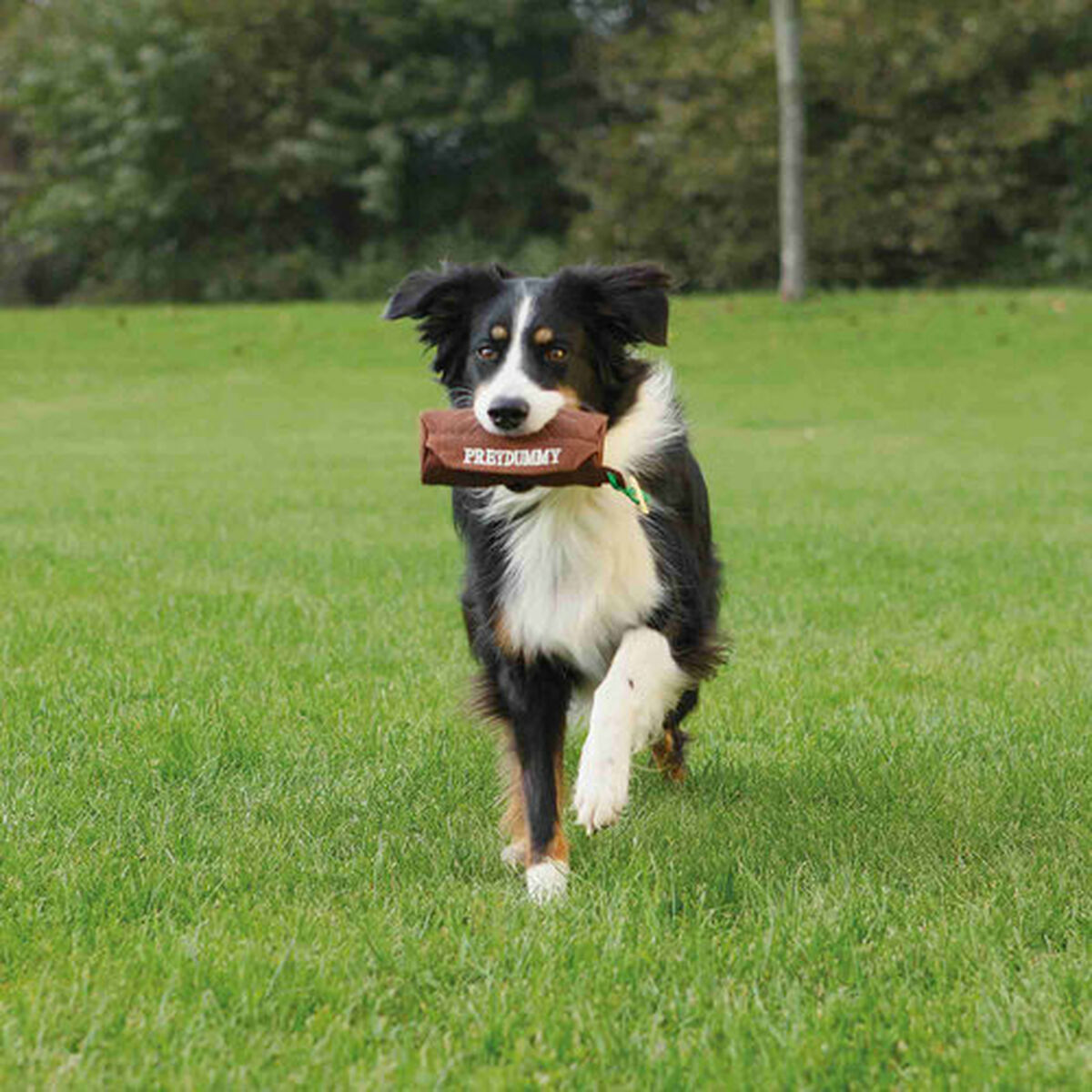 V8H1E9DABF7CF7218BCA076D7E04B01BBA8R7441141P4