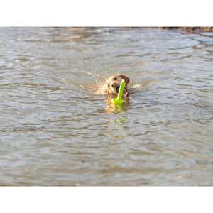 V6HD461802D8E9D4B9F6737655109C2538FR7443182P5