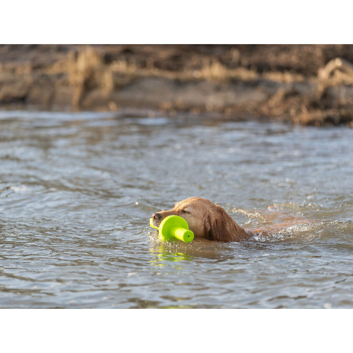 V6HECBC36EF0252535BF2C91AB4D66FAFF3R7443186P7