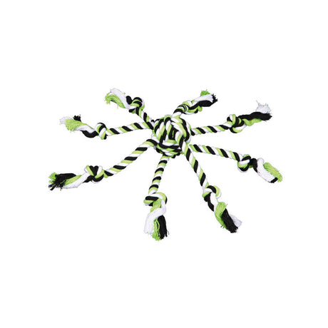 V6H1889D6203CD55E300992B409D44CF7D6R7443273P1