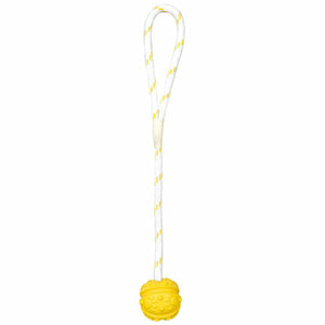 V8H291B6F1221B1531E281B53E7F4E72FDFR7442965P2