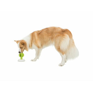 V8H71EA31E65B0699F2ADEA050ABCC70B0DR7452493P9