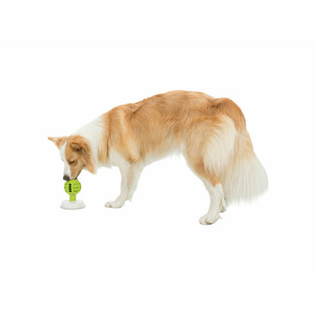 V6H71EA31E65B0699F2ADEA050ABCC70B0DR7452493P9