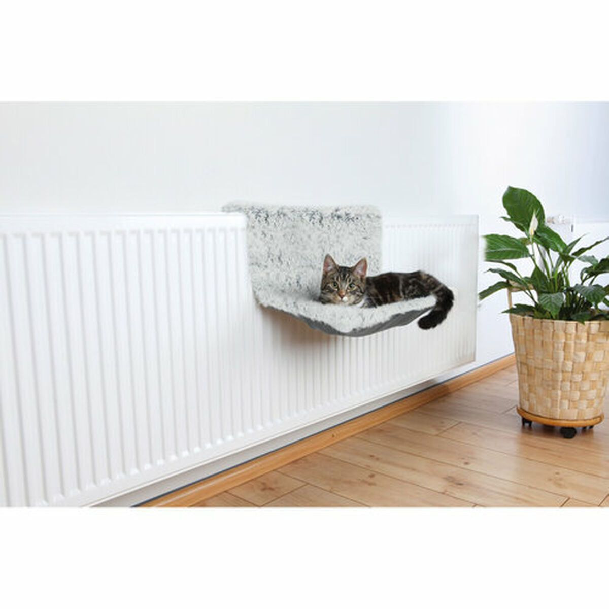 V6HD7D7229DD5AF289A46B40FC57FD233CFR7455976P3