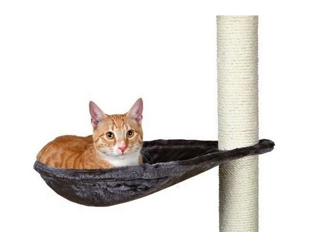 V9H55FB4647396AFEFA38CA21F849D415A7R6608542P1