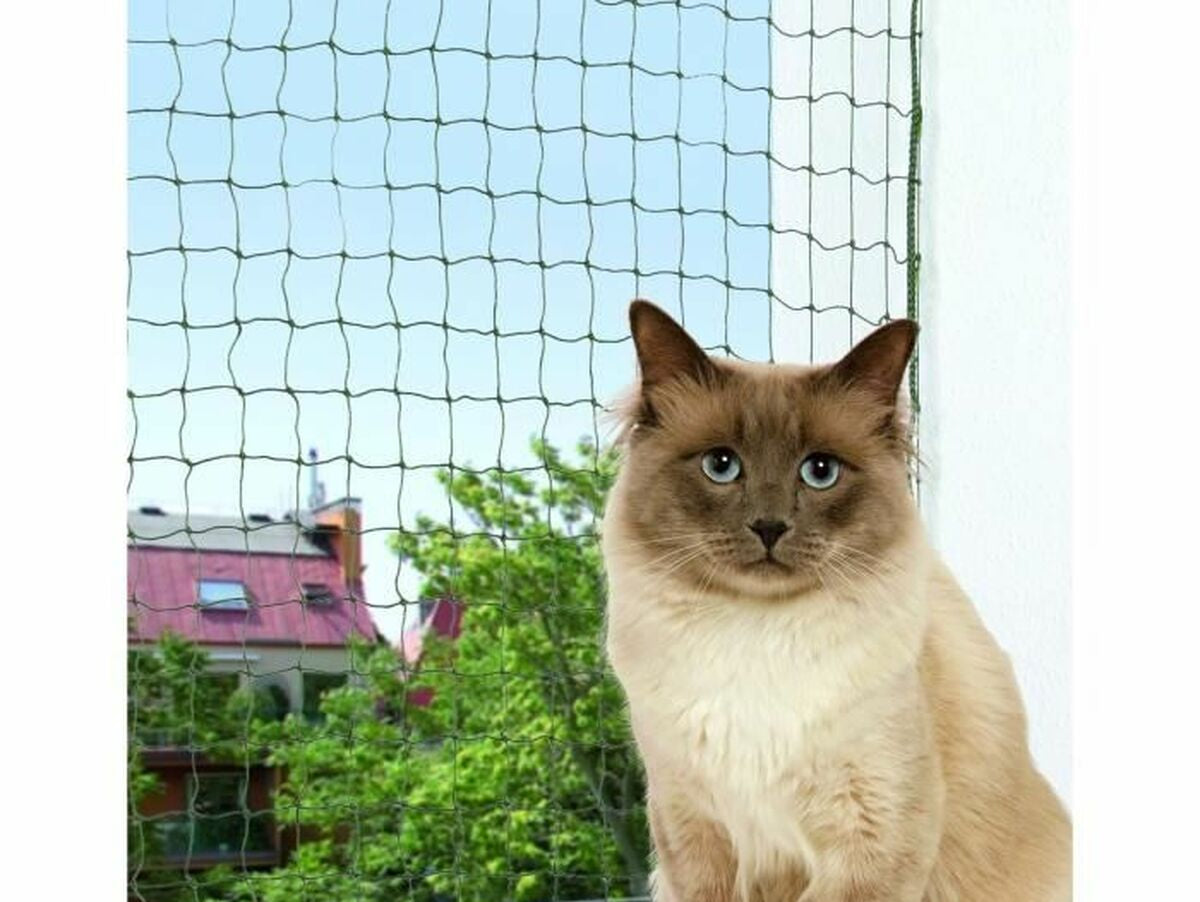 V3HA2A9A643D043312F4FD1A74EFD863D5DR5763203P1