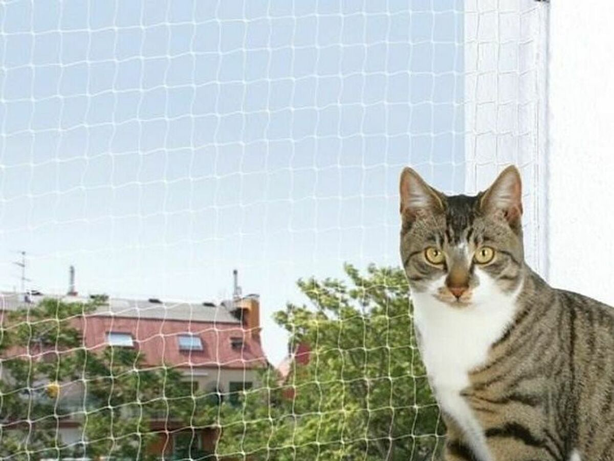 V7H2884C6688F7109A6667D3E3FCA41CE47R5502685P5