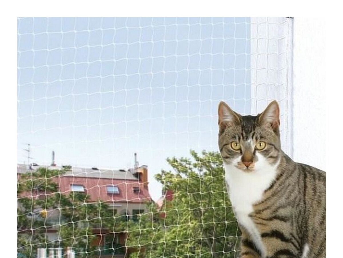 V7H5DFEAC079C6D552C2541D902A4B261DBR4490410P5