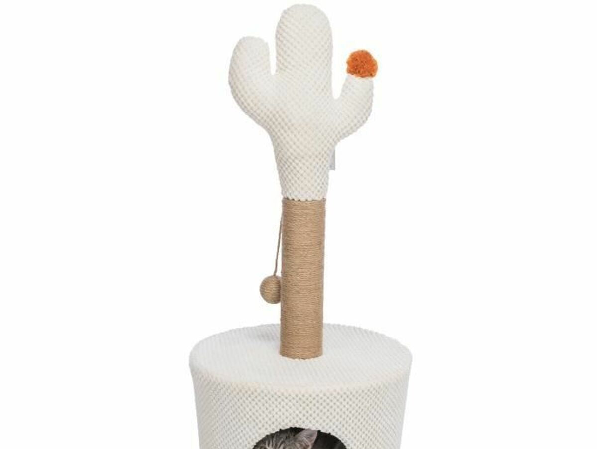 V7H15A1D9BB837739CA55DF4CEFF2B801AFR6402033P1