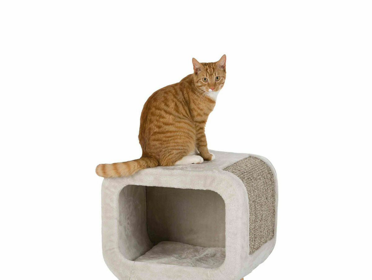 V4H56F01222AAF37A6495B201347DDCE5BFR6876461P4