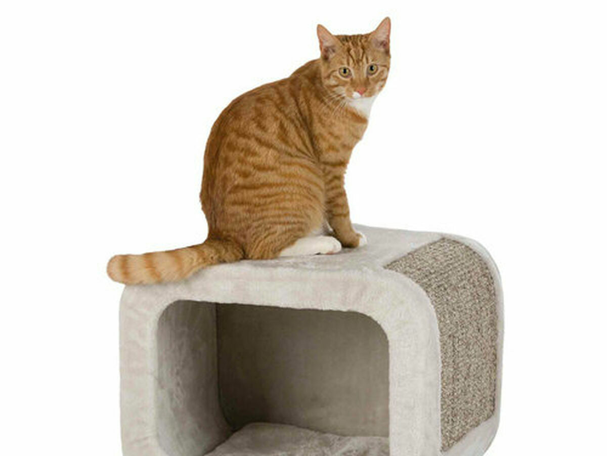 V4H08D3E3FFA1C9188446EE7554CA430E1FR6876463P5