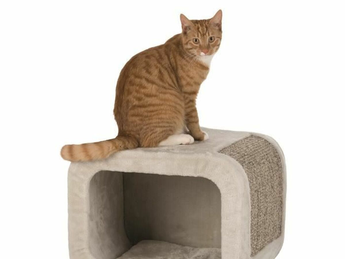 V4HF9753CD0FCD7BF2B679F3AAB83440AC0R6876457P2