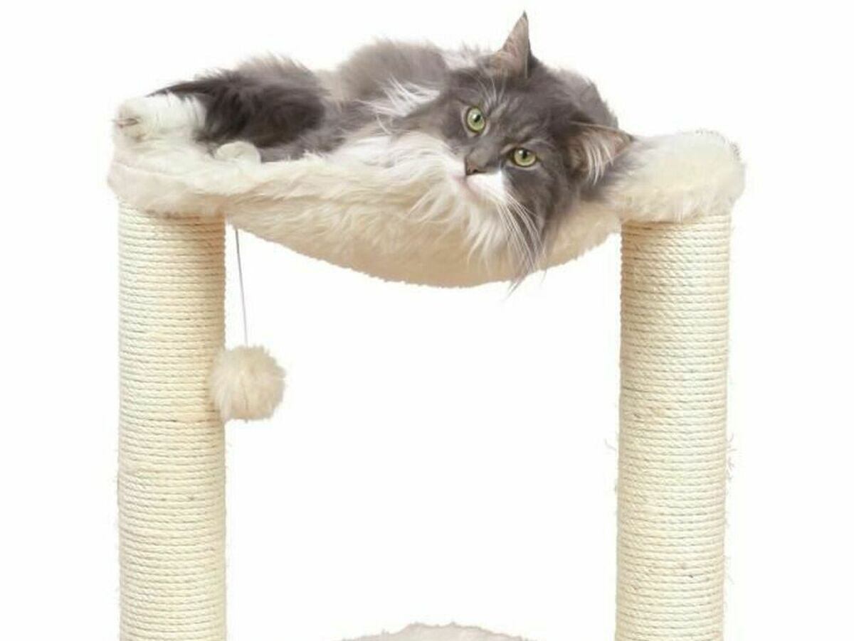 V7HFD43C2B9AA3AF32D35536EAAF322CDD5R6854362P2