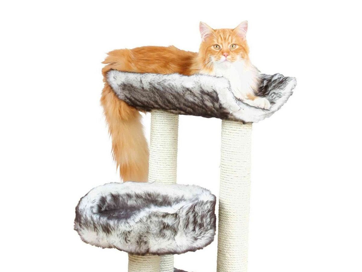 V9H8C5194F056DF9411C94C951956C57EF8R6395942P1