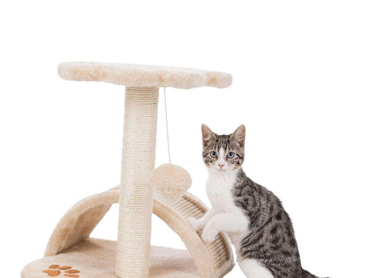 V9HAE328C6F5F5152A123CABFAC79EF41CER6395945P3