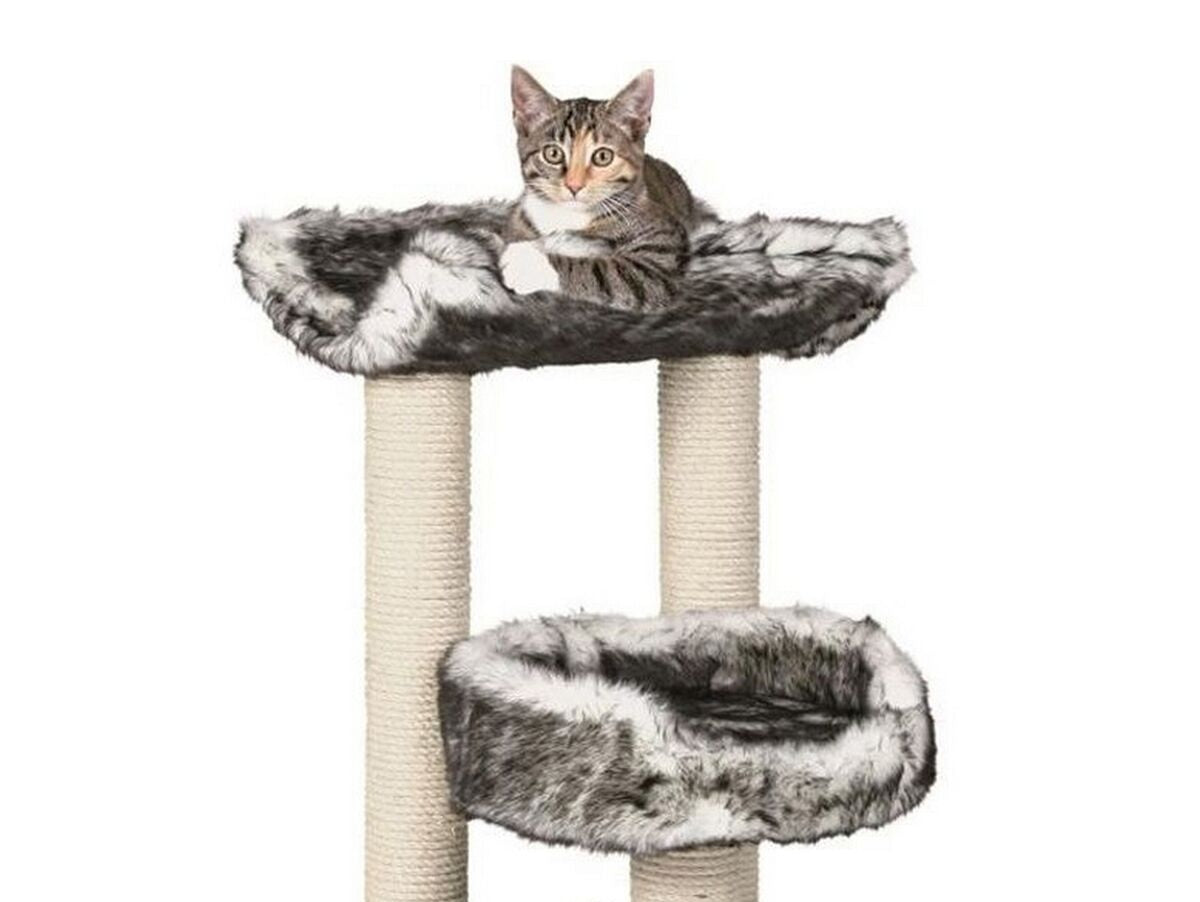 V9H254C08F3F964F253E1DF6696170CE0ECR6395952P8