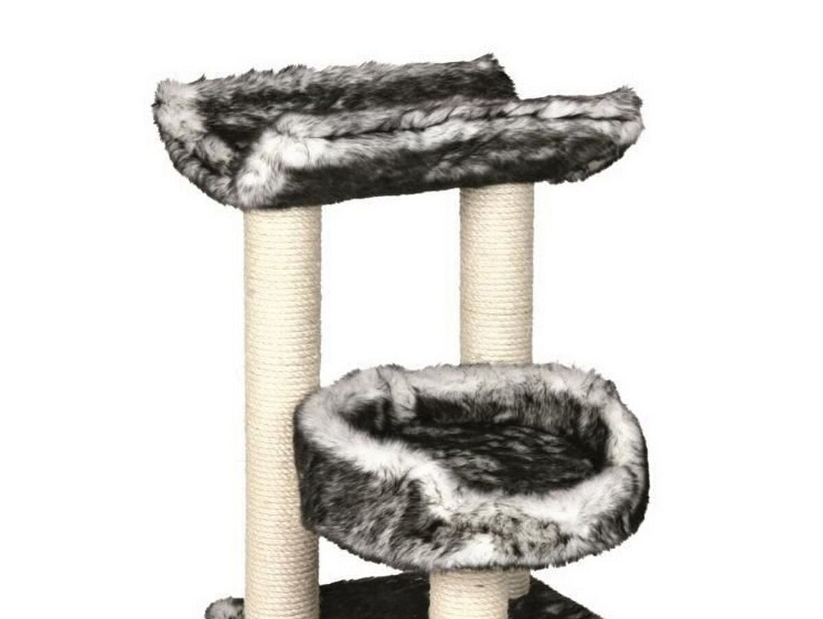 V9HF7E643236AD886017AC09EF238FCCF81R6395953P9