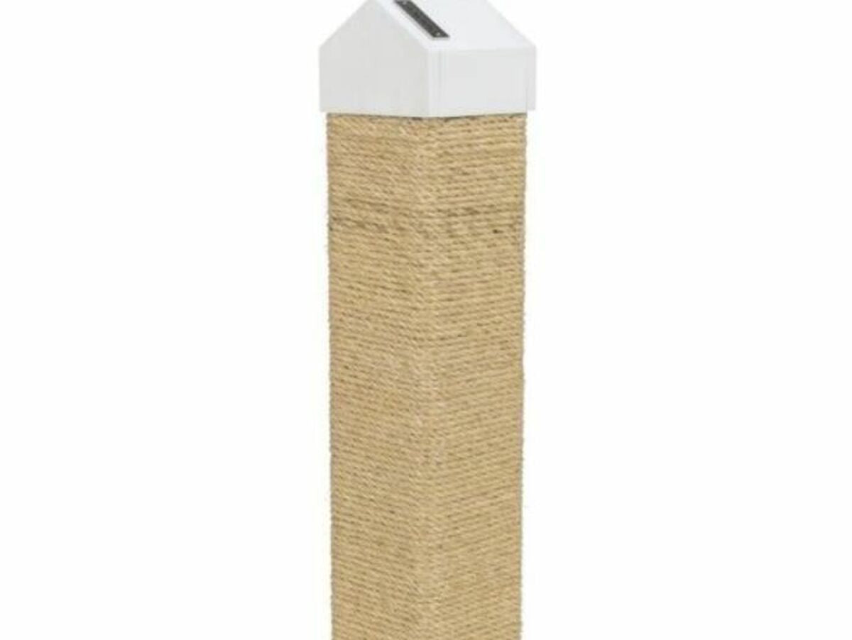 V5H943F69916C5BA97D892BA0A23B7087D6R5769363P1