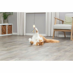 V5HDB2E589D70DC8061B439DD6373C95934R7459568P6