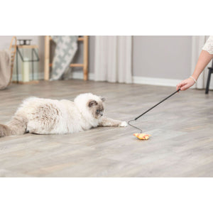 V4H2878C4B7EC5CC431E830A76E002F7AE3R7459580P3