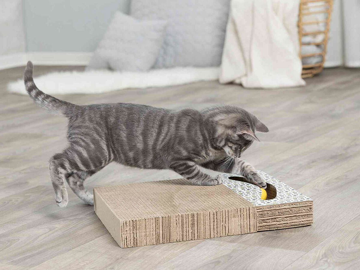 V6H4FFE8E52F9EC3374487AE461821B0A62R5333127P2