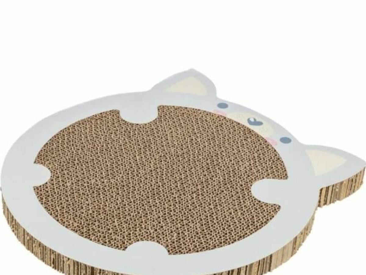 V6H954F0F0DBC9E2E0CDDC47FA4E1CC4878R6607853P2