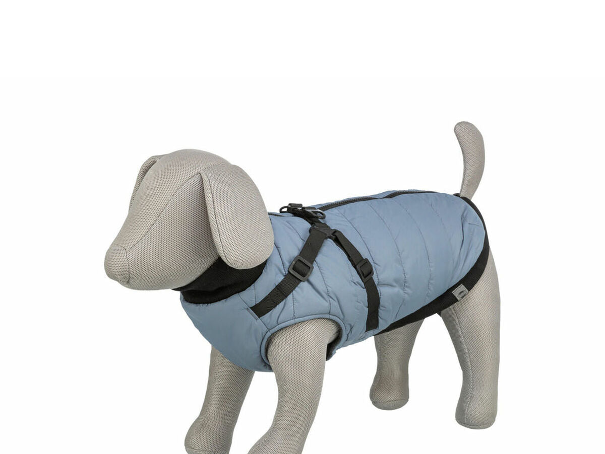 V2H0C004A09006282097983496B367C5E44R7610599P5