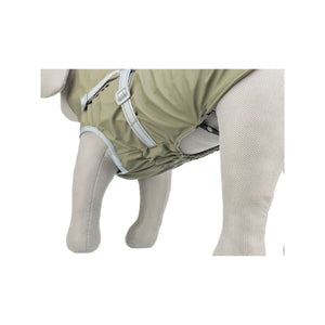 V5H620C588C4ACF66D3C04741E8D4047B20R7462254P9