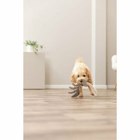 V3HAFEE9490B1AE05AFC628CA2A82132415R7463020P6