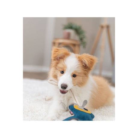 V3HB53EF1050D83286EF7A747E9EAC37AA0R7449075P7