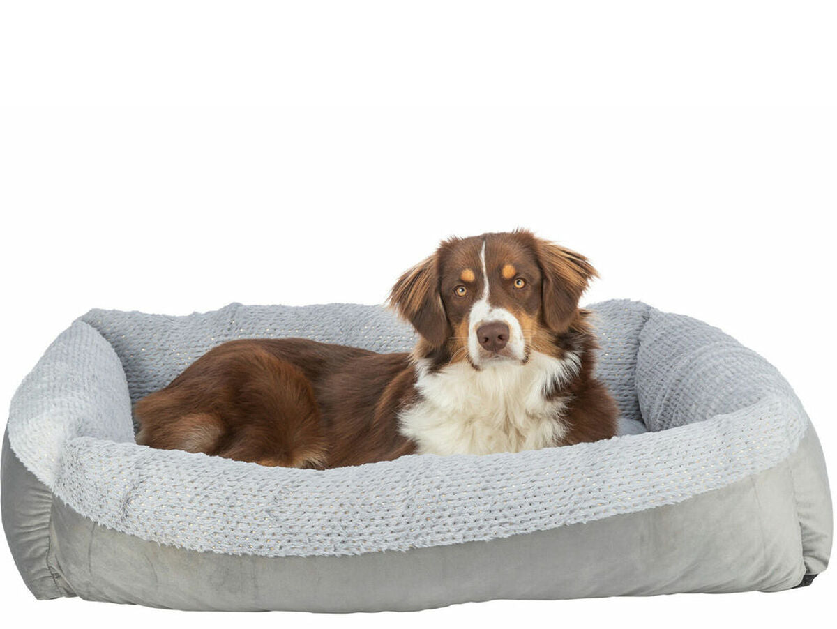 V4HBC3A83DA837DF0F402EDB13FE61E4E78R7503065P5