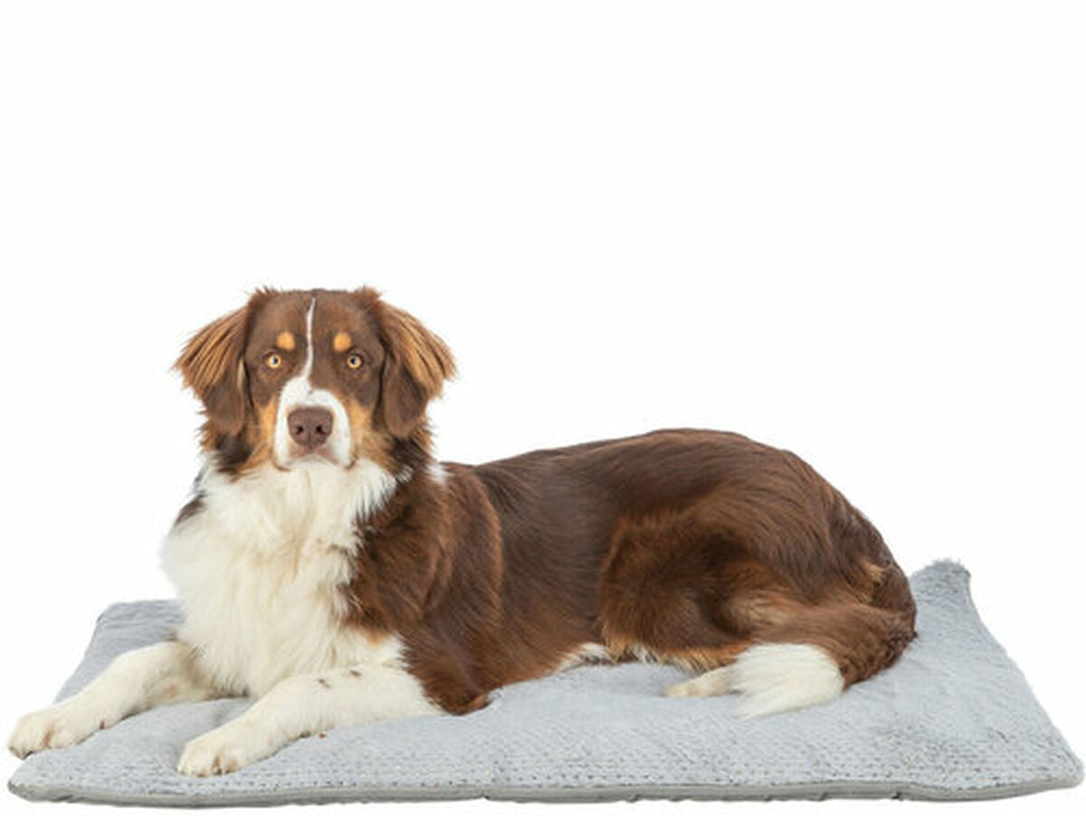 V4H3978A89C6ABD27ECB98C14111792AEBDR7503140P6