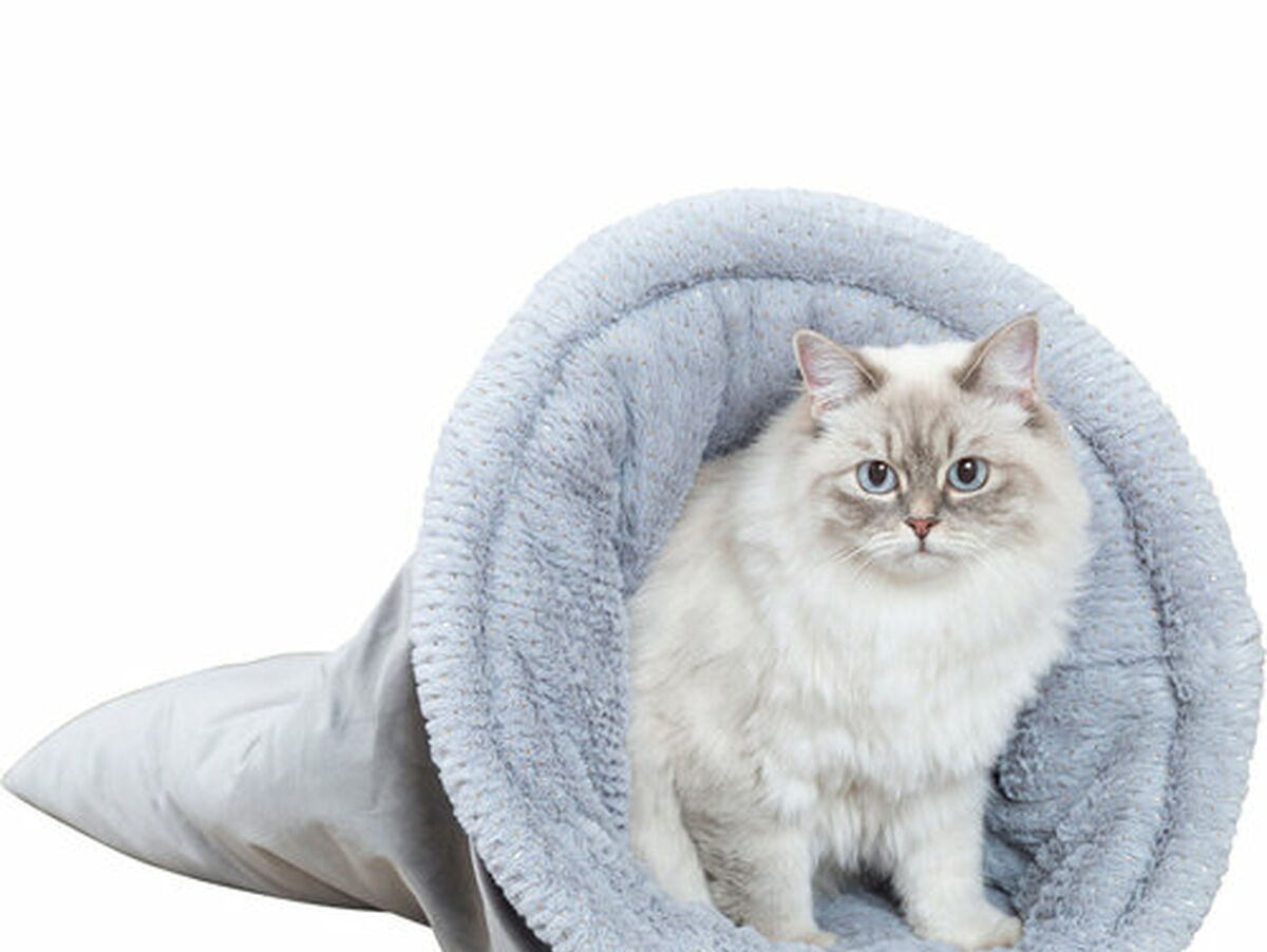 V4H36B9BB7F47EE8D25BADEAA14766593E4R7503017P2