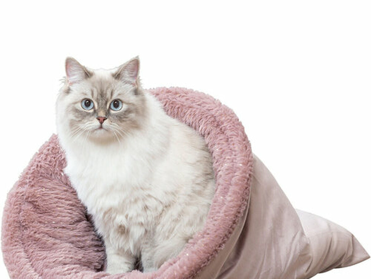 V4H914C64472145B1E3A17BBC68619B2577R7503020P2