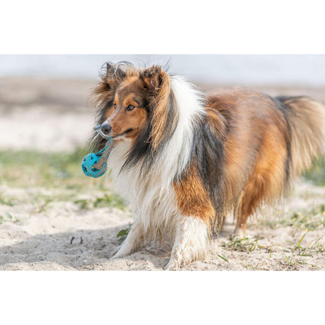 V3H86A4D6AEAB74F43883D1C2DD1F191587R7448911P9