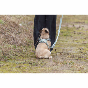 V3HF2478E9B2E11A0DB3F22AB43E2E4BA08R7463487P6