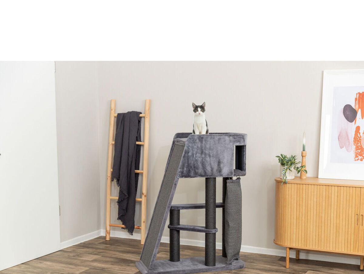 V4H467FEF4BF7AA8DAB6CDCD4ECC0D6BE1DR7505991P9