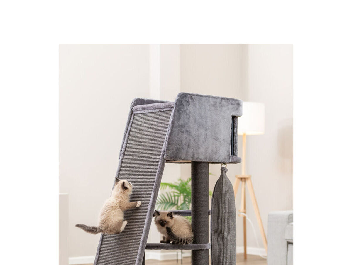 V4HBAFCCAFC6888BE3B85287DAC64CAD577R7505992P10