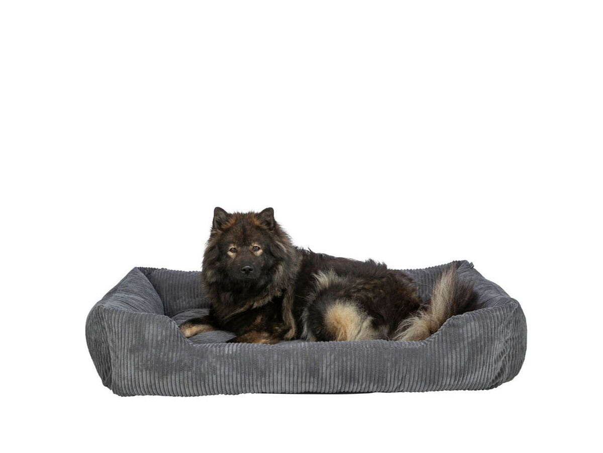 V3H093C55644CACDB9C03FC3AE9F2ECC889R7591840P3