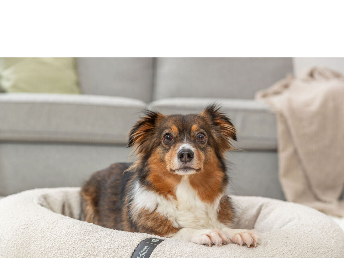 V4H000C297E09F3A15ED21CEFC9A24AC8E9R7538821P7