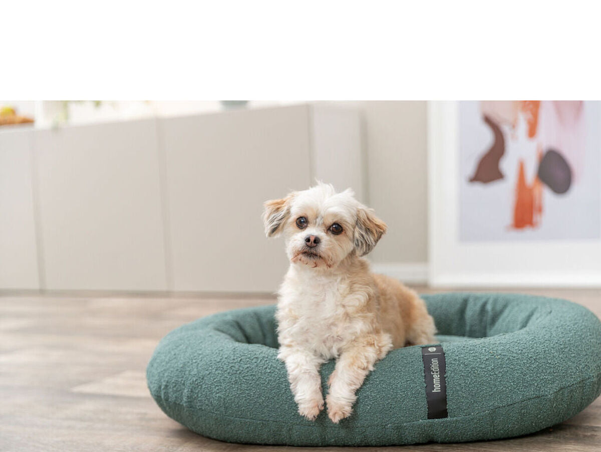 V4H8818A5BC7358C9F7C5D796A08B501242R7538787P8